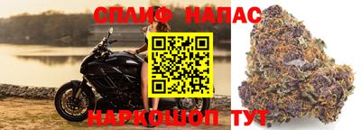 мдпв Дубна