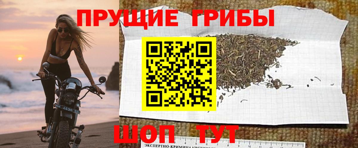 Дальнереченск  дарнет шоп  Вход с VPN  Псилоцибиновые грибы Cubensis 