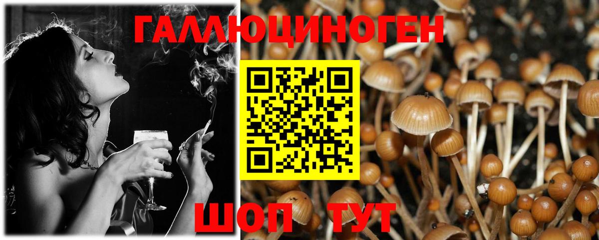 Псилоцибиновые грибы Magic Shrooms Дальнереченск